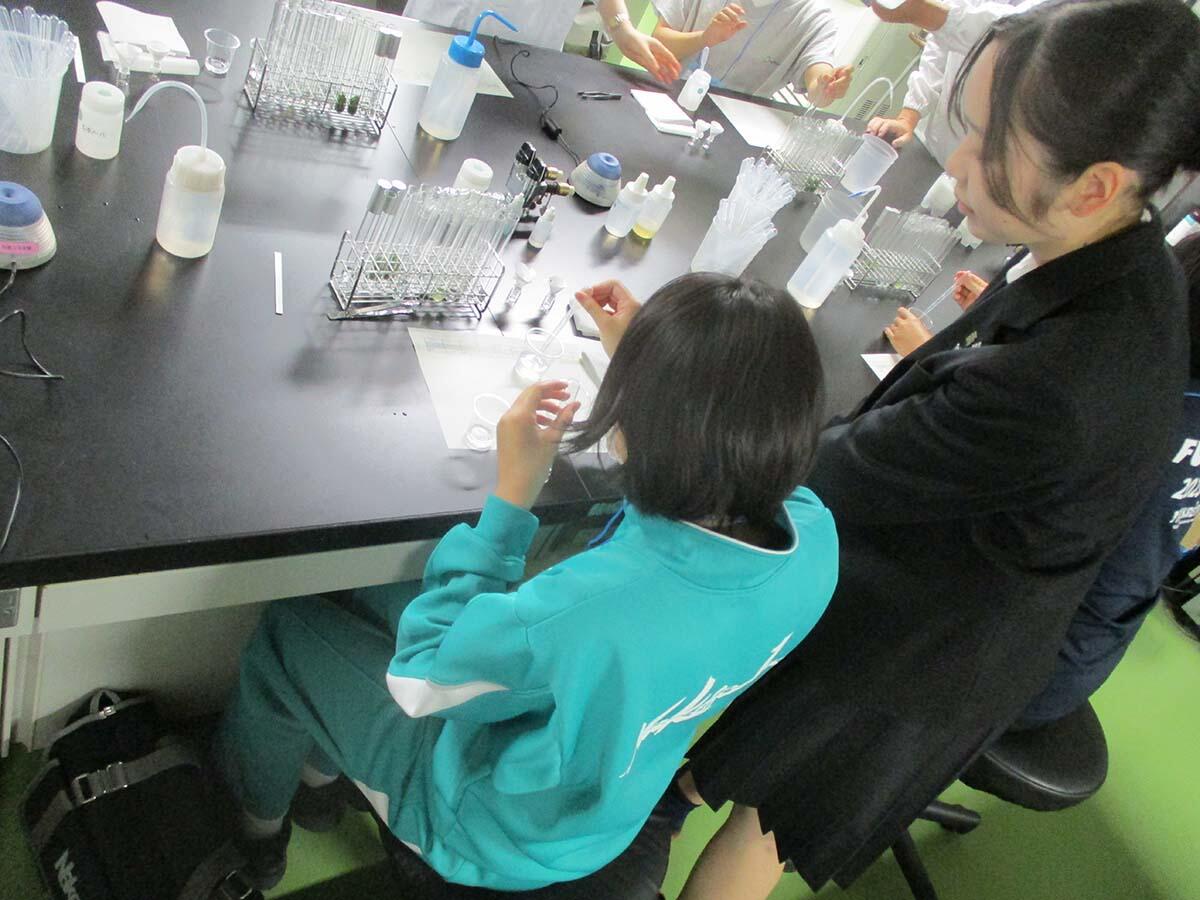 実験の様子2.jpg