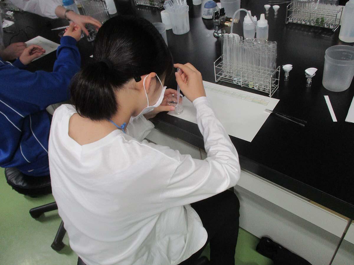 実験の様子3.jpg