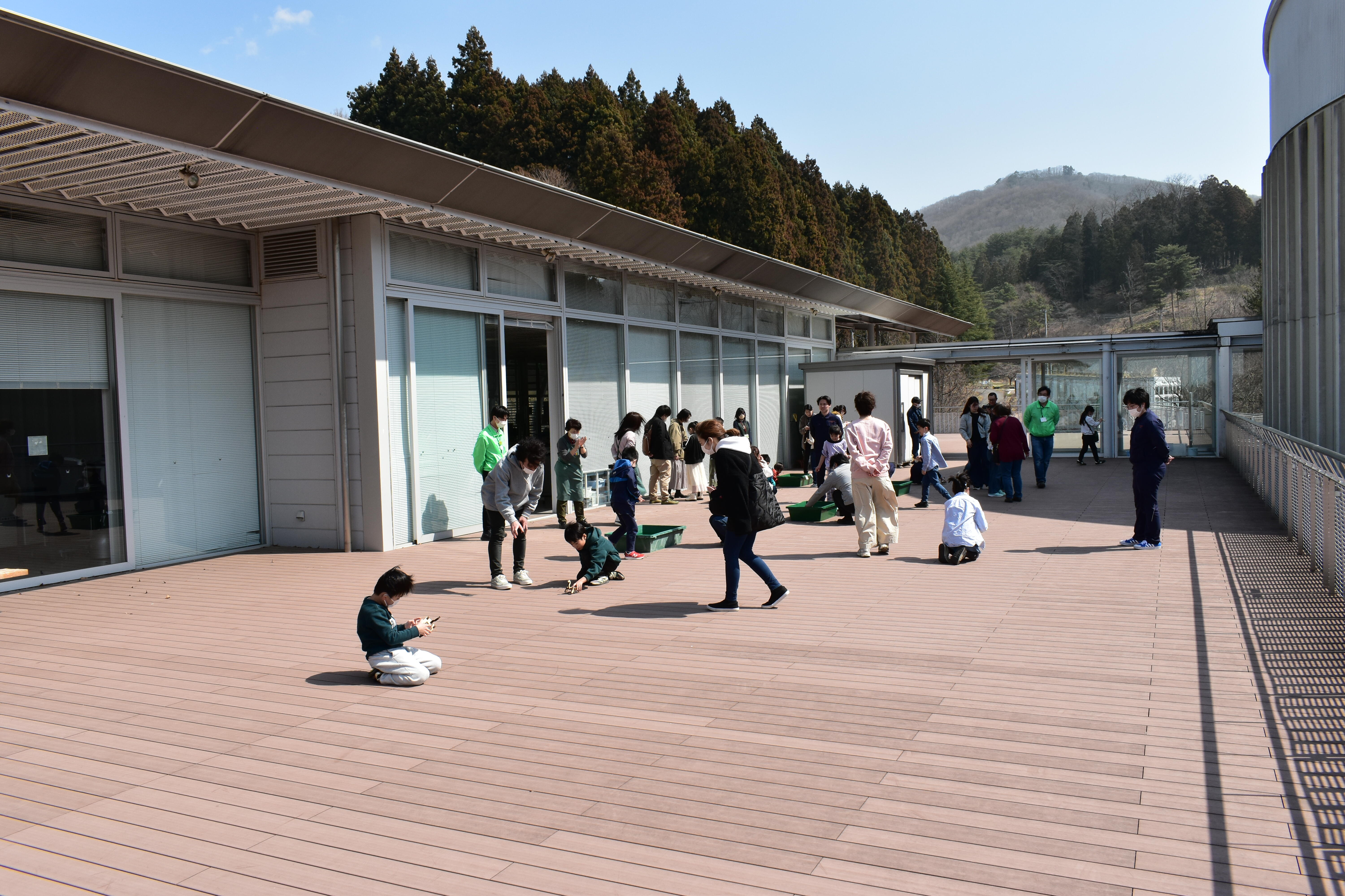 写真3（ムシテックワールドで出前講座を実施しまし）.jpg